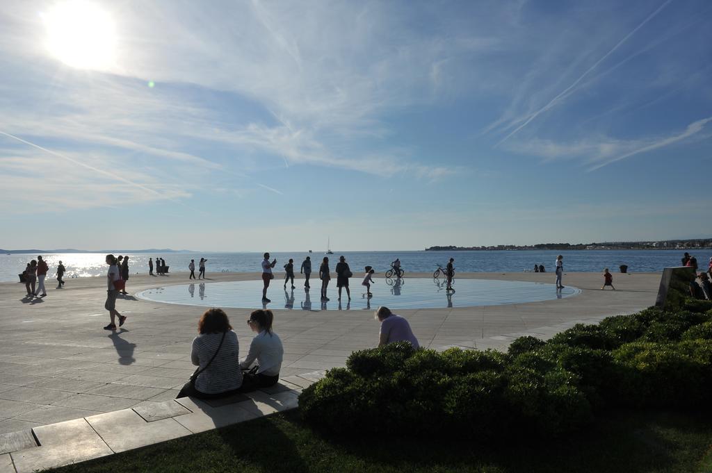 Purple Summer City Zadar