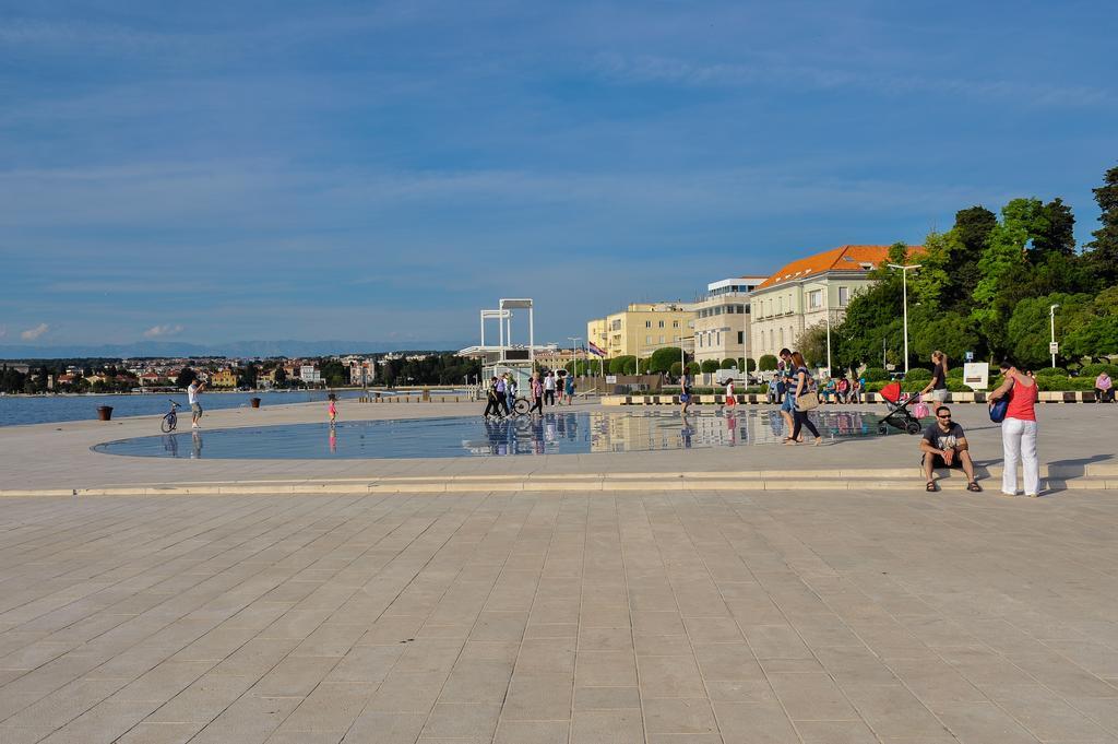 Purple Summer City * Zadar